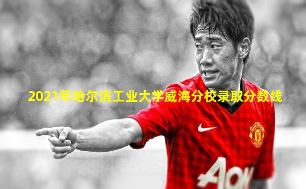 2021年哈尔滨工业大学威海分校录取分数线