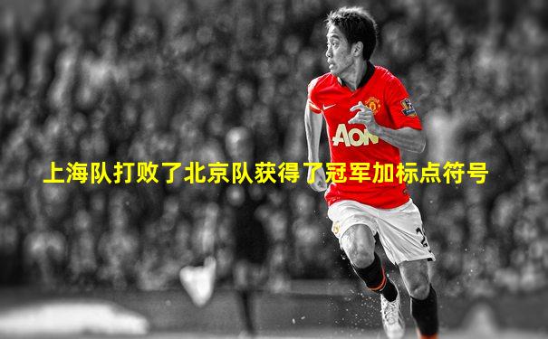 上海队打败了北京队获得了冠军加标点符号