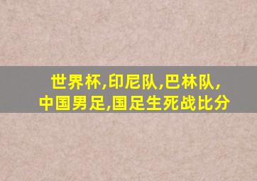 世界杯,印尼队,巴林队,中国男足,国足生死战比分