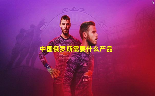 中国俄罗斯需要什么产品