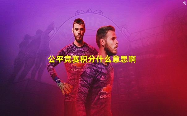 公平竞赛积分什么意思啊