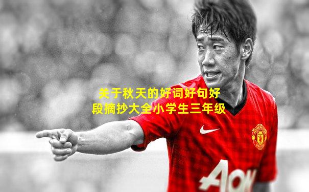 关于秋天的好词好句好段摘抄大全小学生三年级