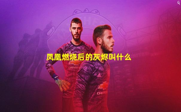 凤凰燃烧后的灰烬叫什么