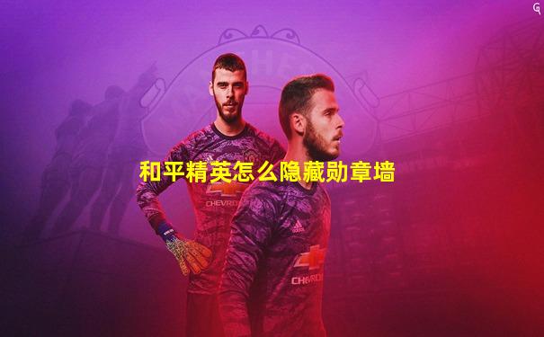 和平精英怎么隐藏勋章墙