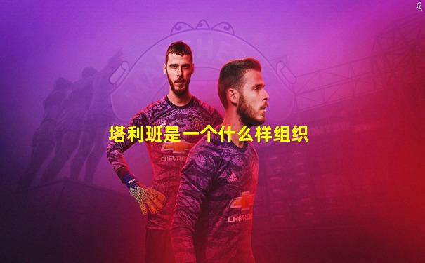 塔利班是一个什么样组织