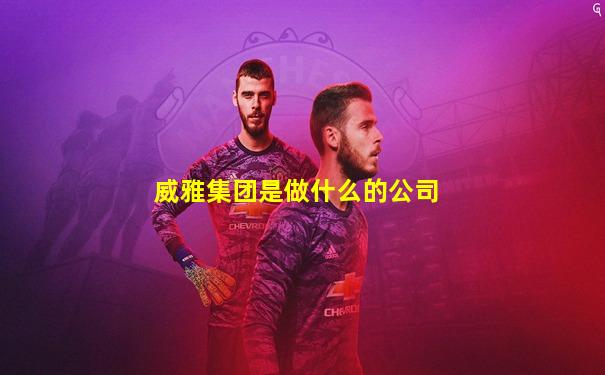 威雅集团是做什么的公司
