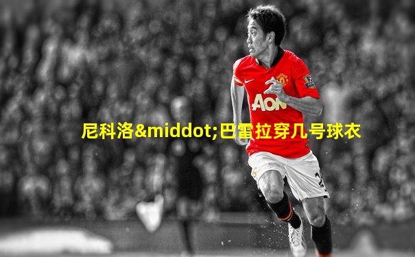 尼科洛·巴雷拉穿几号球衣