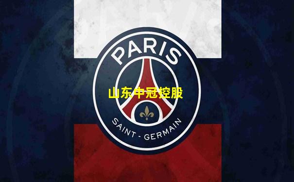 山东中冠控股