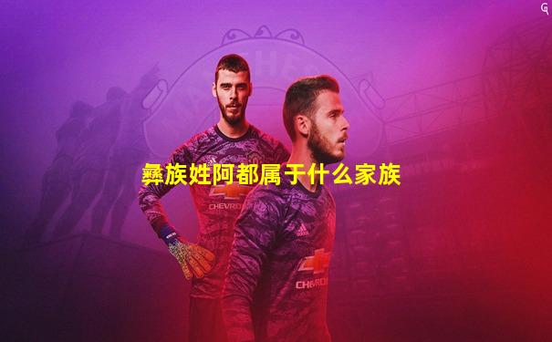 彝族姓阿都属于什么家族