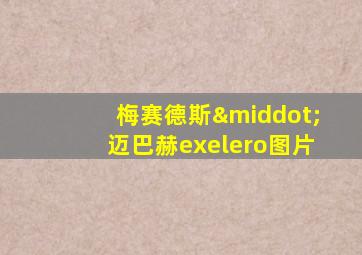 梅赛德斯·迈巴赫exelero图片