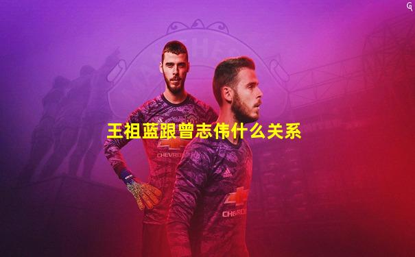 王祖蓝跟曾志伟什么关系