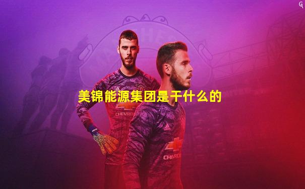 美锦能源集团是干什么的