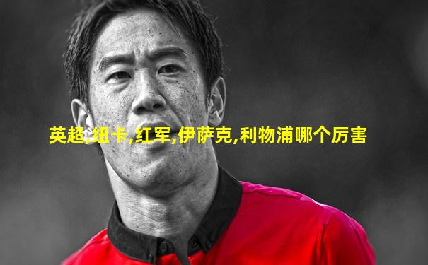 英超,纽卡,红军,伊萨克,利物浦哪个厉害