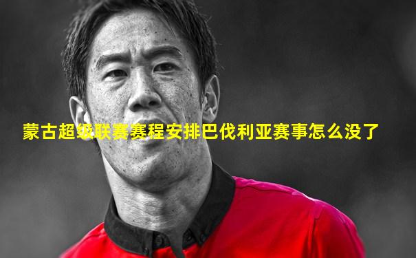 蒙古超级联赛赛程安排巴伐利亚赛事怎么没了