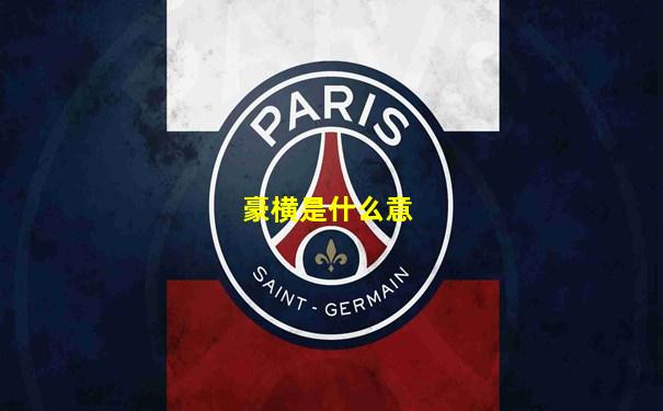 豪横是什么意