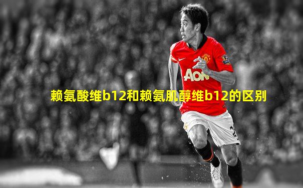 赖氨酸维b12和赖氨肌醇维b12的区别