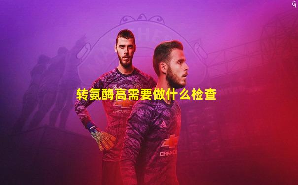 转氨酶高需要做什么检查