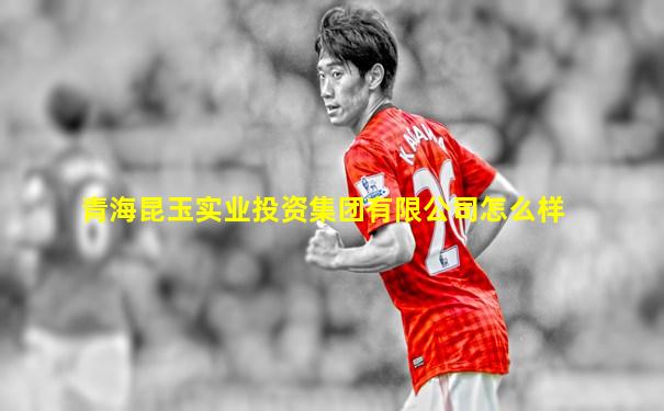 青海昆玉实业投资集团有限公司怎么样