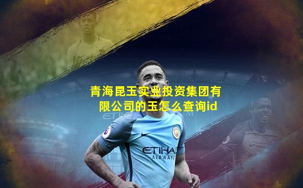 青海昆玉实业投资集团有限公司的玉怎么查询id