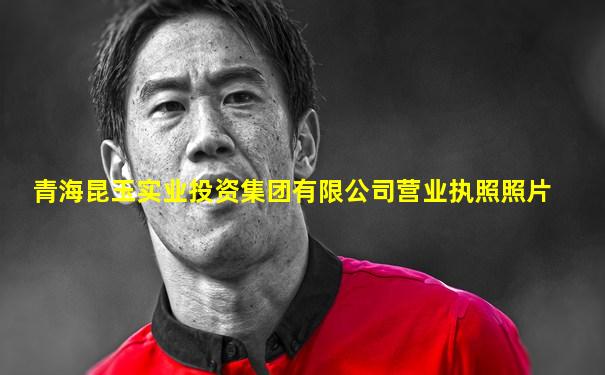 青海昆玉实业投资集团有限公司营业执照照片