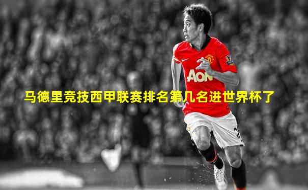 马德里竞技西甲联赛排名第几名进世界杯了