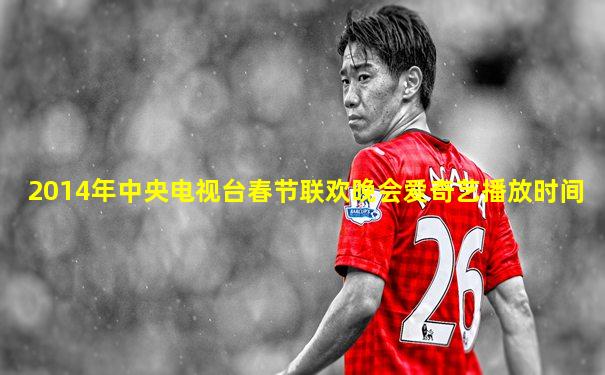 2014年中央电视台春节联欢晚会爱奇艺播放时间