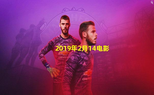 2019年2月14电影