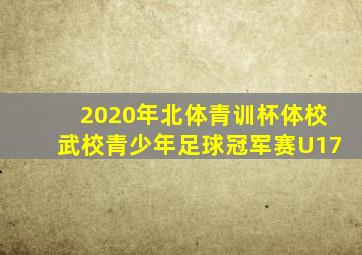 2020年北体青训杯体校武校青少年足球冠军赛U17