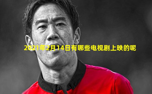 2021年2月14日有哪些电视剧上映的呢