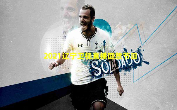2021辽宁卫视直播回放节目
