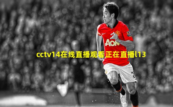 cctv14在线直播观看正在直播l13