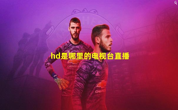 hd是哪里的电视台直播