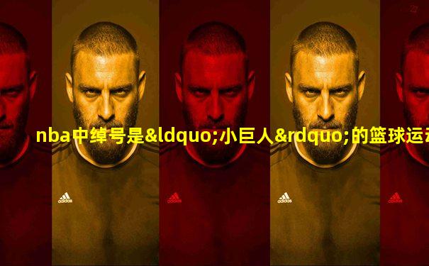 nba中绰号是“小巨人”的篮球运动员是