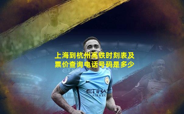 上海到杭州高铁时刻表及票价查询电话号码是多少