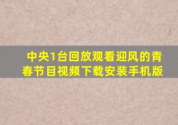 中央1台回放观看迎风的青春节目视频下载安装手机版