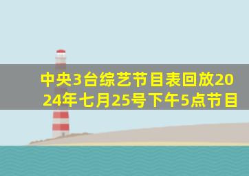 中央3台综艺节目表回放2024年七月25号下午5点节目