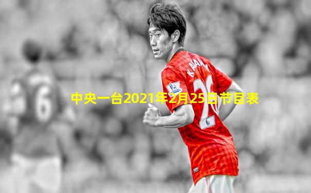 中央一台2021年2月25日节目表