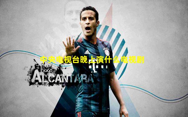 中央电视台晚上演什么电视剧