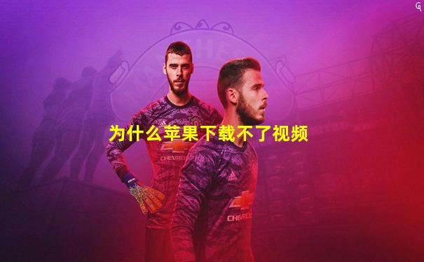 为什么苹果下载不了视频