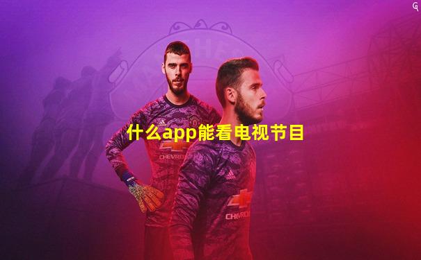 什么app能看电视节目