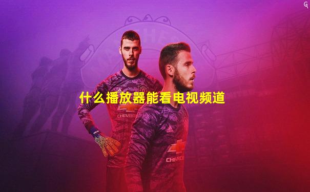 什么播放器能看电视频道