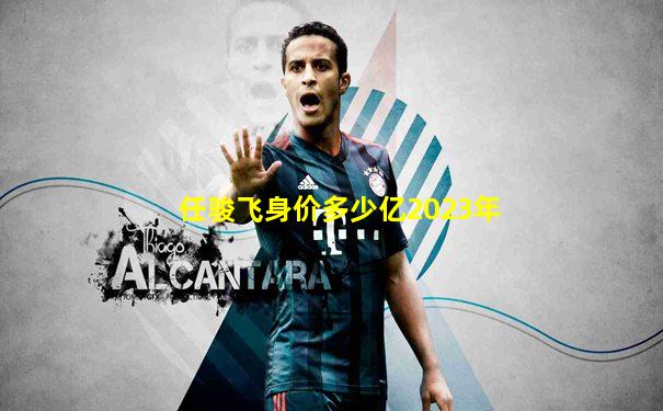 任骏飞身价多少亿2023年