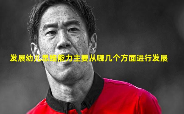 发展幼儿思维能力主要从哪几个方面进行发展