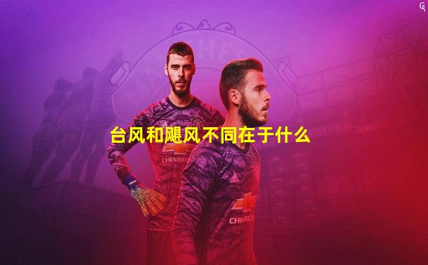 台风和飓风不同在于什么