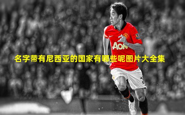 名字带有尼西亚的国家有哪些呢图片大全集