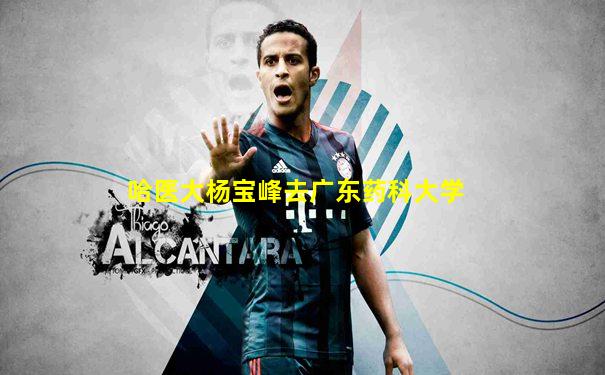 哈医大杨宝峰去广东药科大学