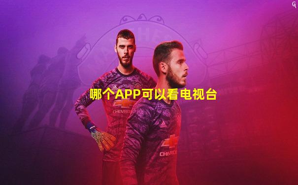 哪个APP可以看电视台