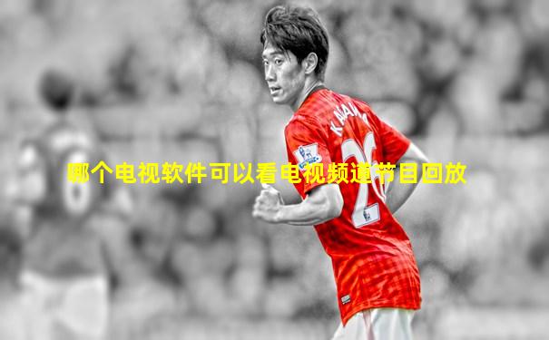 哪个电视软件可以看电视频道节目回放