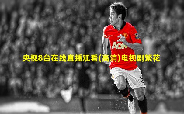 央视8台在线直播观看(高清)电视剧繁花