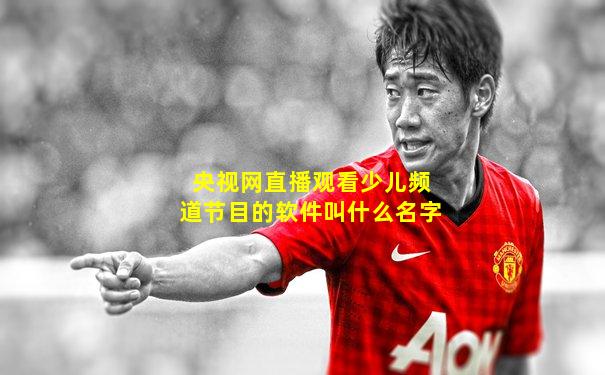 央视网直播观看少儿频道节目的软件叫什么名字